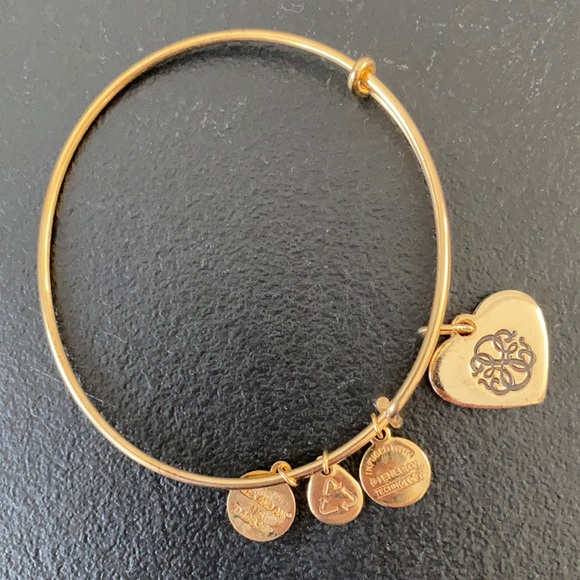 Alex and Ani Path of Life Heart Expandable Charm Bangle - Picture 2 of 3